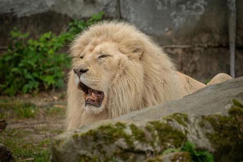 Mexican+Big+Ass Photos, Download The BEST Free Mexican+Big+Ass Stock ...