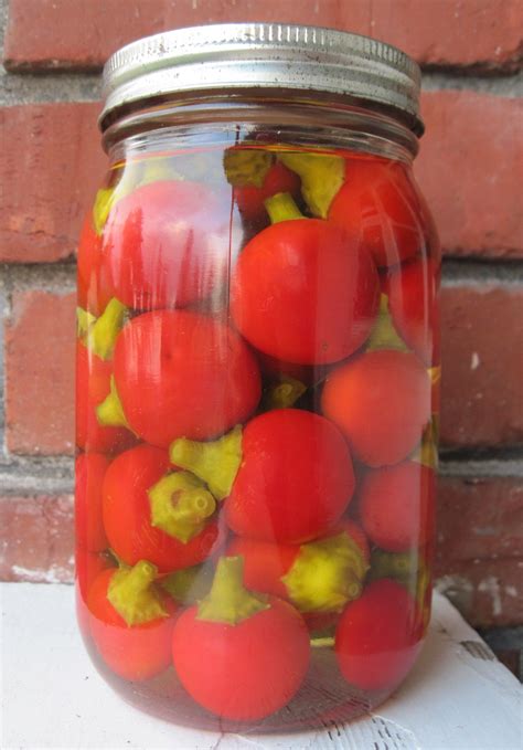 Pickled cherry peppers – Artofit