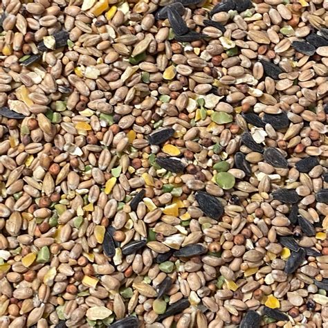 Bird Seed Images at Will Hannah blog