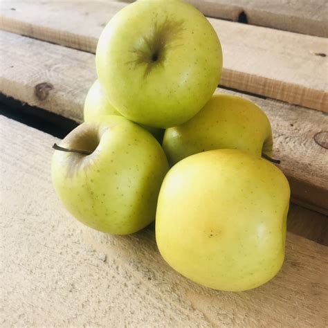 Apples - Golden Delicious | Angmering Village Greens