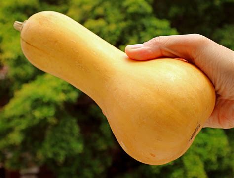 Turn a Simple Butternut Squash Into DIY Fall Decor