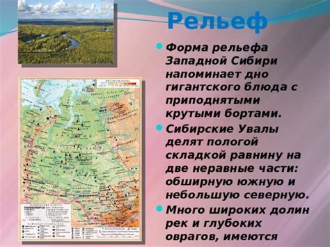 Западно-Сибирская равнина. - География - Презентации - 8 класс