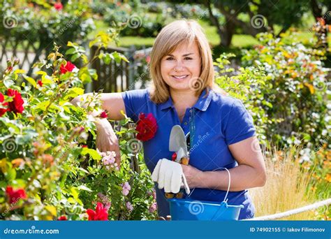 Woman Gardening Red Roses and Holding Horticultural Tools on Sun Stock ...