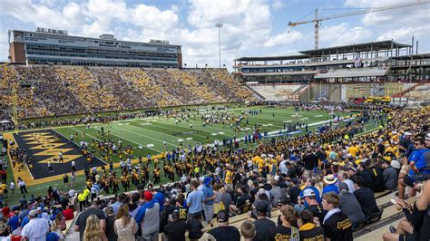 Do people pose for nude photos in Kansas sunflower fields? | Kansas City Star