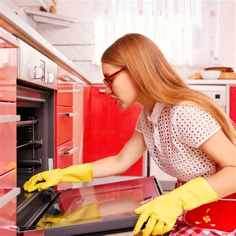 How To Clean An Oven With White Vinegar And Baking Soda at Barbara ...