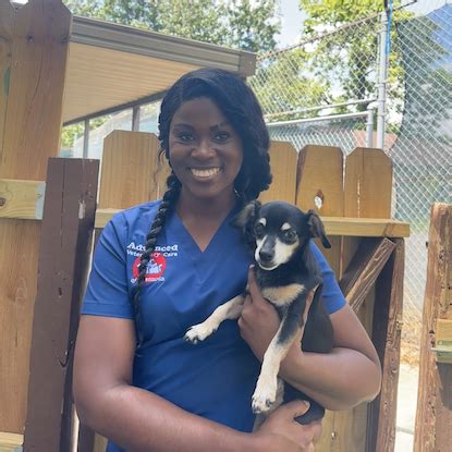 Meet Our Veterinary Team in Vestavia Hills, AL