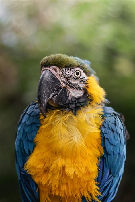 Beautiful+Women+With+Breasts+And+Legs Photos, Download The BEST Free ...