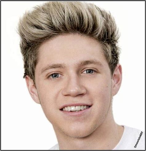 One Direction 2013 Tumblr Niall Horan