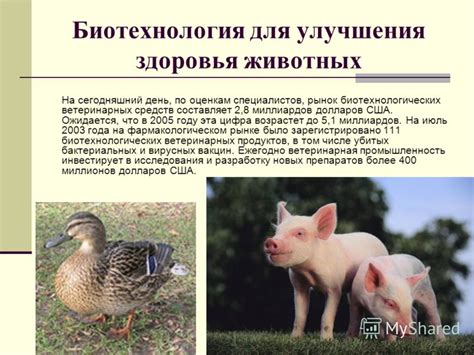 Презентация на тему: "Современные биотехнологии в животноводстве ...