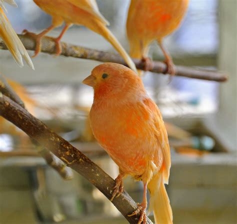 The Martha Stewart Blog : Blog Archive A Visit with My Beautiful ...