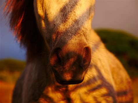 Hawaii Technology Academy Inspiring Youth - Big Island Pulse