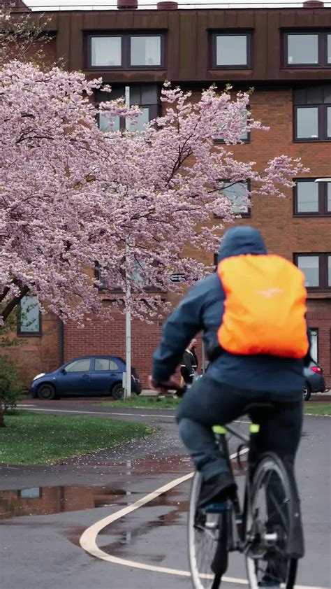 Dixies+Trailer+Park+Videos Videos, Download The BEST Free 4k Stock ...