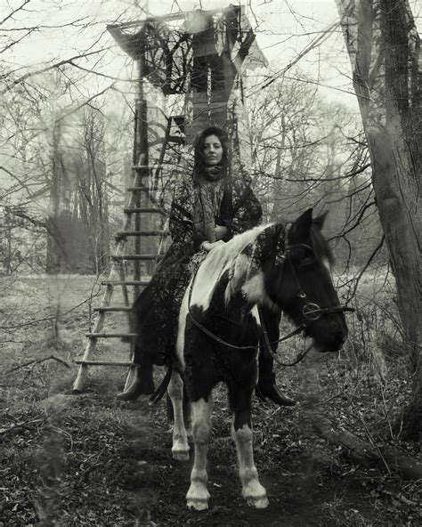 Horses+Having+Sex+Videos Photos, Download The BEST Free Horses+Having ...