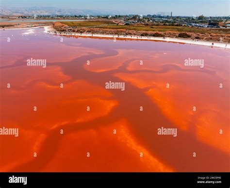 Bacteria marina hi-res stock photography and images - Alamy
