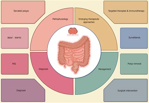Overview of serrated polyposis syndrome from pathophysiology, diagnosis ...