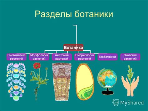 Презентация на тему: "Урок 1. Наука биология. Наука биология О чем ...