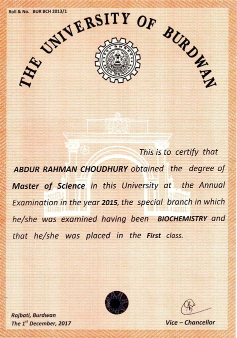 Iron: Does It Really Help Low Blood Pressure?