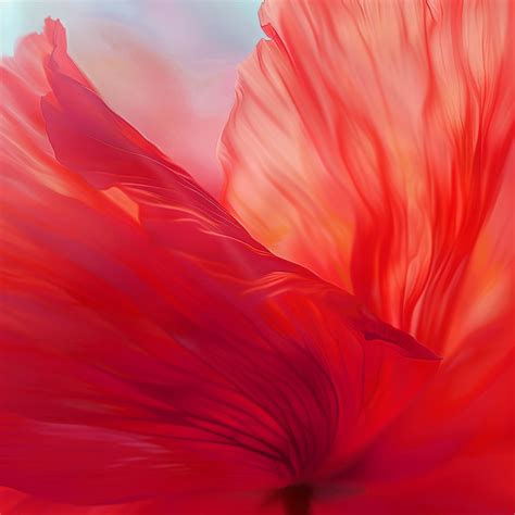 EBV 2025 - ¡Exaltado! - Lifeway VBS