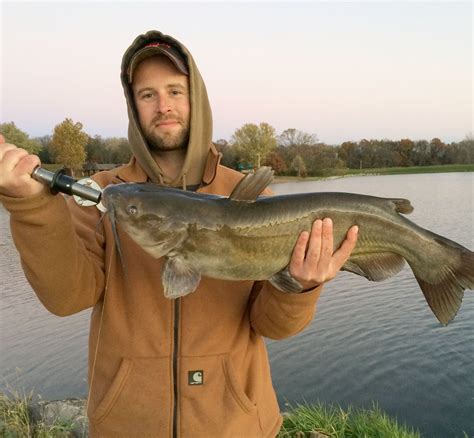 When Do Catfish Start Biting In Iowa - mindheatbody