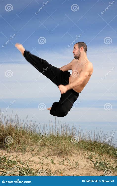Martial arts instructor stock photo. Image of instructor - 24656848
