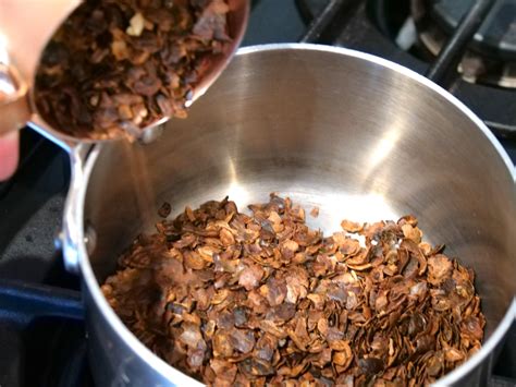 Cascara Simple Syrup — Blue House Coffee