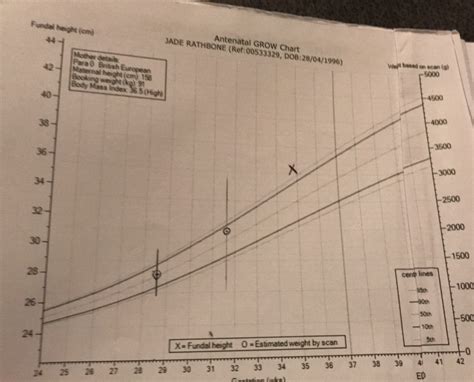 Fundal Height Measurement Chart