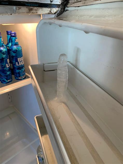 Mom’s garage fridge has a leak. Freezes like this every time. : r/mildlypenis