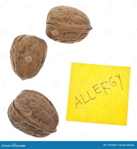 Nut Allergy Walnuts