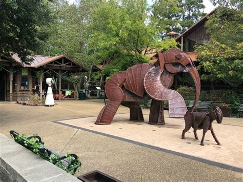 Your Guide To Visiting Hattiesburg, Mississippi - Wherever I May Roam ...