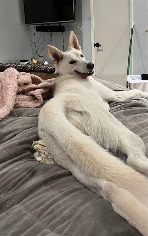 Jennifer White on Twitter: "https://t.co/iBAckpadpM" / Twitter