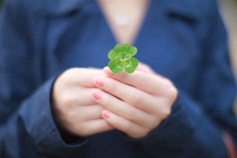 The History and Symbolism of St. Patrick's Day Clovers