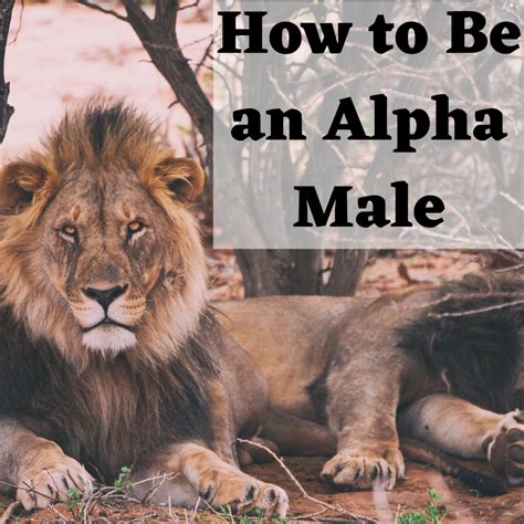 What Does Alpha Mean In Animals at Robert Gump blog - What Does Alpha Mean