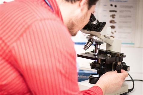 Hiram Animal Hospital in Hiram, GA 30141 - (770) 4...