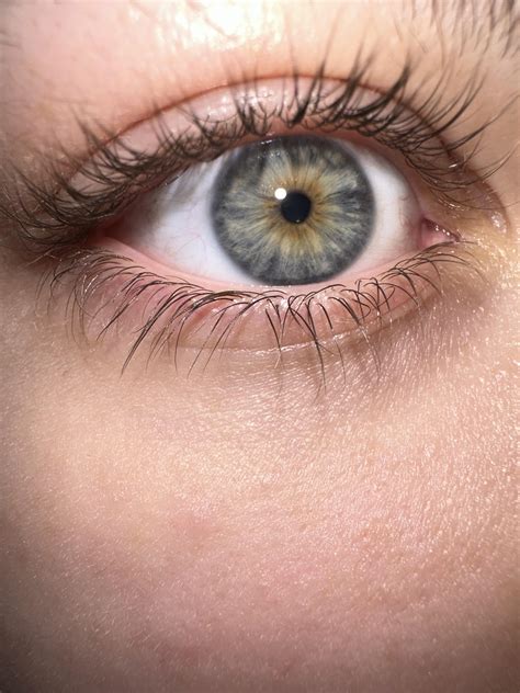 Never Can Figure Out What Color My Eyes Are : r/eyes