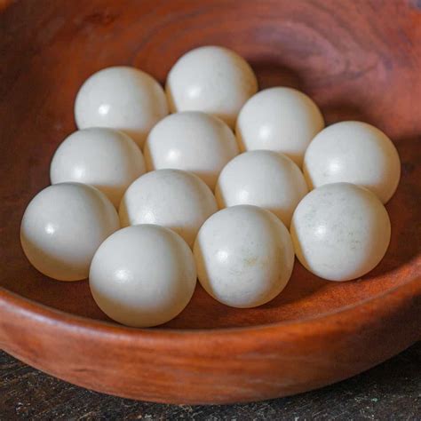 Snapping Turtle Eggs