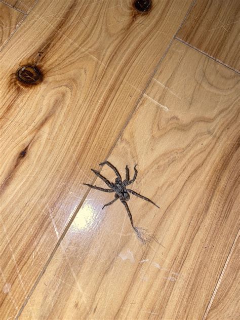 Can someone help me identify this? Found in Eureka Springs, Arkansas ...