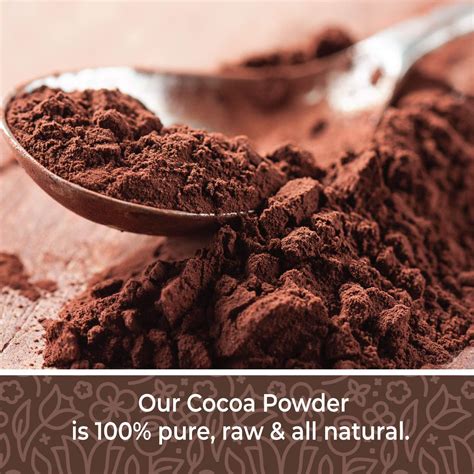 Cocoa Powder 16 oz. Raw Cacao Powder Unsweetened Unsweetened Cocoa ...