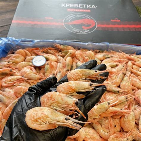 Магаданские углохвостые креветки (140/200 шт. в 1 кг.): купить в Москве ...