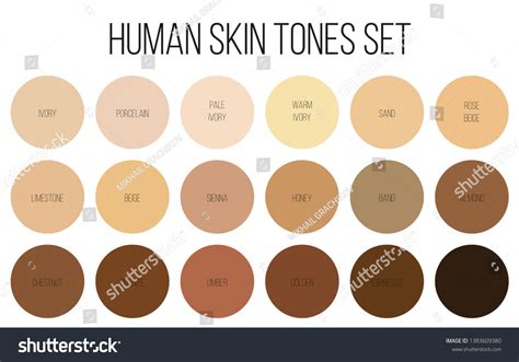 Skin Tone Color Wheel For Artists Sales Stores | www.oceanproperty.co.th