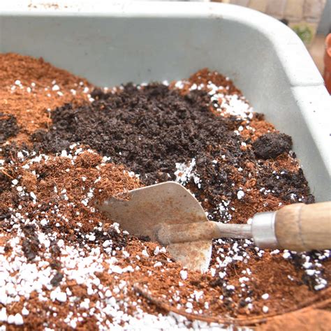 How To Use Perlite To Improve Soil And Boost Plant Growth