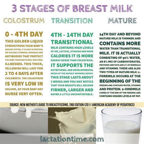 Breastfeeding Guide