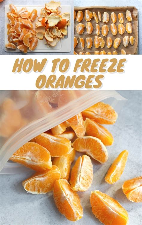 Freezing oranges how to do it the easy way – Artofit