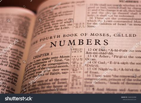 Numbers Bible