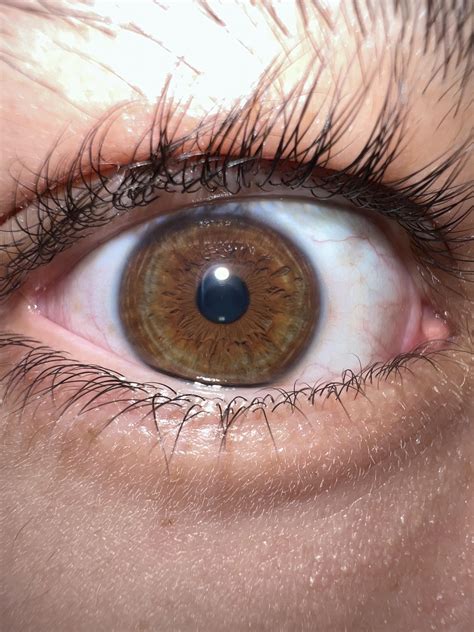Brownish Hazel Eyes Personality Test Your Eye Color Reveals These