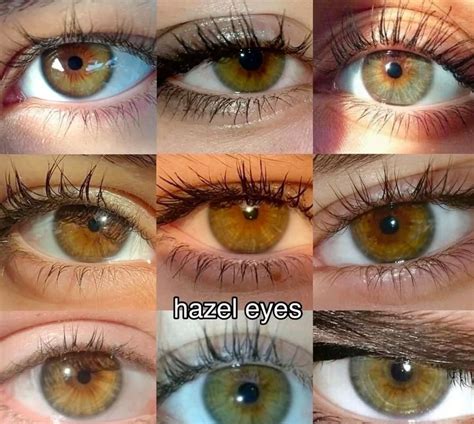 Hazel Blue Eyes What Determines A Baby's Eye Color? | Babocush Limited