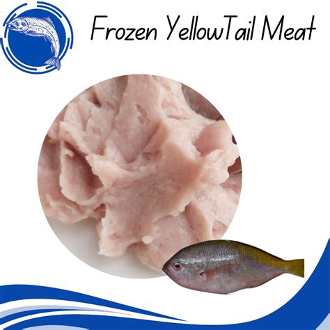 Frozen Yellow Tail Fish Meat ( Ikan Tofu ) 豆腐鱼肉 - Mos Fresh Trading Sdn Bhd
