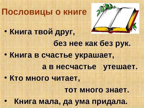 Какая главная мысль объединяет пословицы о книгах?