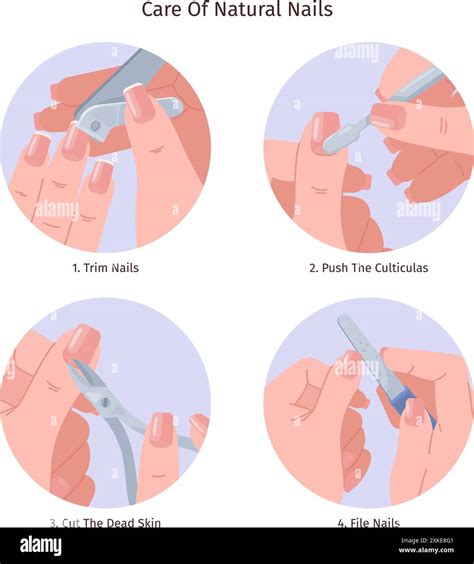 Indian cleanse Stock Vector Images - Alamy