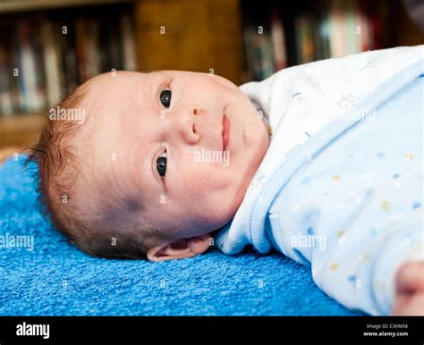 6 weeks old baby hi-res stock photography and images - Alamy