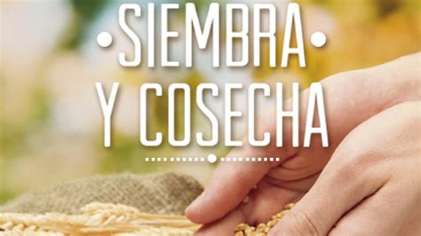 100+ Imágenes Cristianas de Ofrendas para Compartir